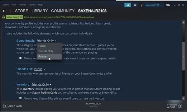 How to hide Steam Games Activity & keep private on profile