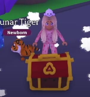 Tiger Box