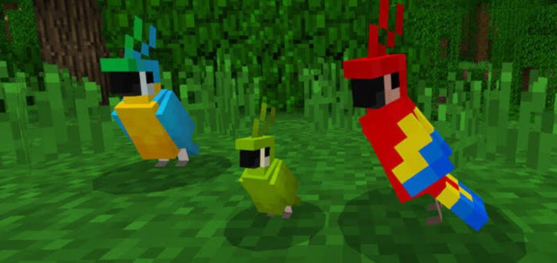 How to tame a parrot in Minecraft?