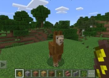 What do llamas eat in Minecraft