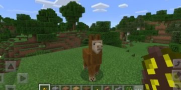 What do llamas eat in Minecraft
