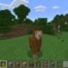 What do llamas eat in Minecraft