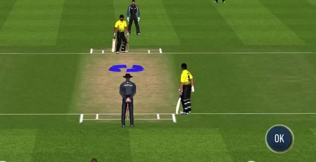 How to play Real Cricket 22 on PC?