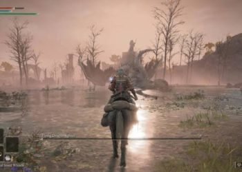 Elden Ring Crashing on startup