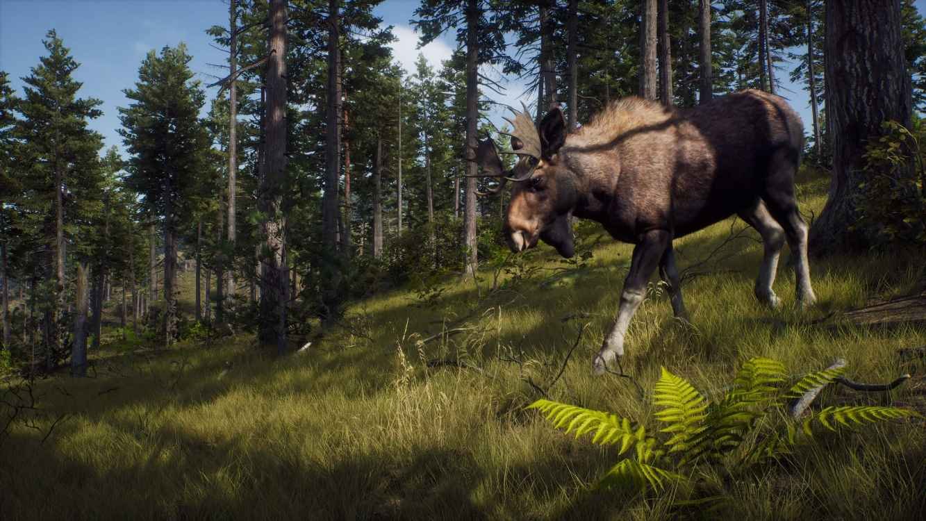 is-there-a-way-of-the-hunter-ps5-ps4-nintendo-switch-release-date