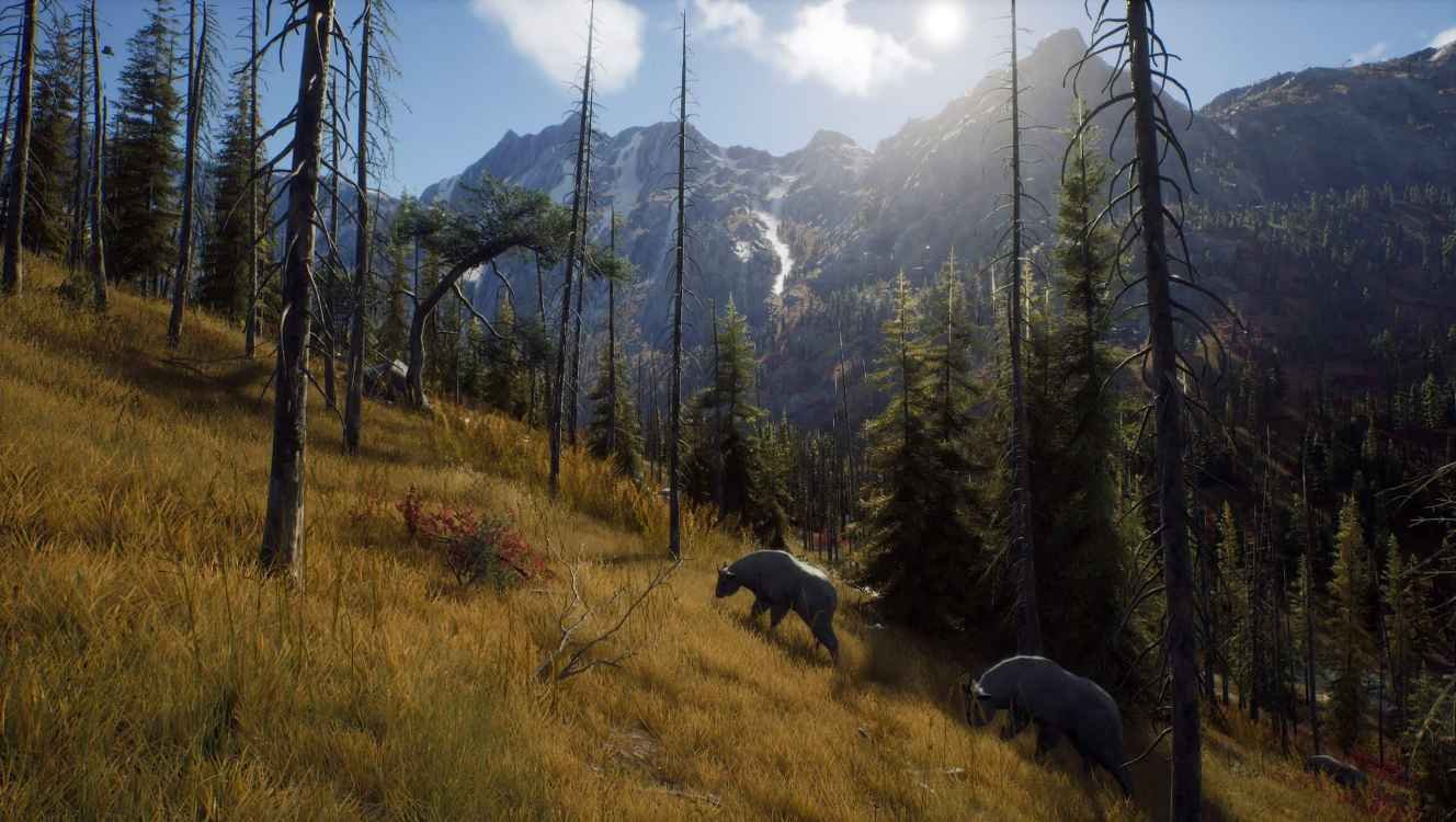 is-there-a-way-of-the-hunter-ps5-ps4-nintendo-switch-release-date