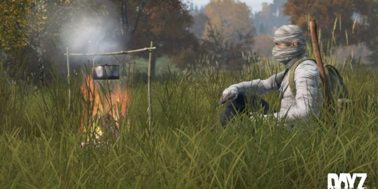 DayZ play button not working