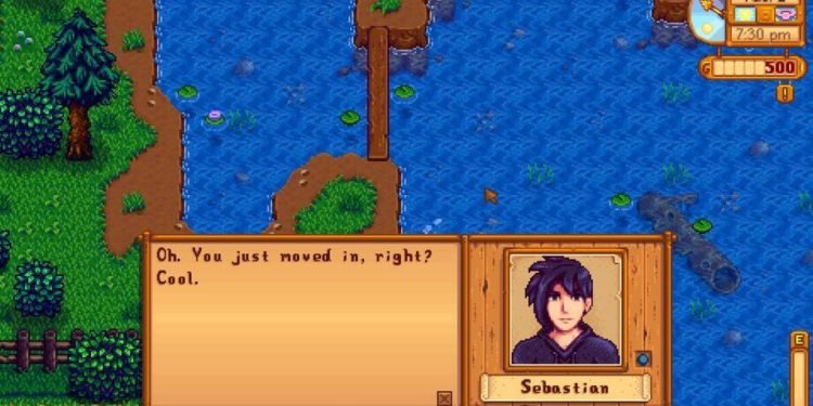 Where to find Sebastian in Stardew Valley?