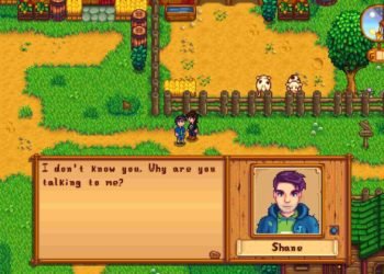 What does shane like in stardew valley
