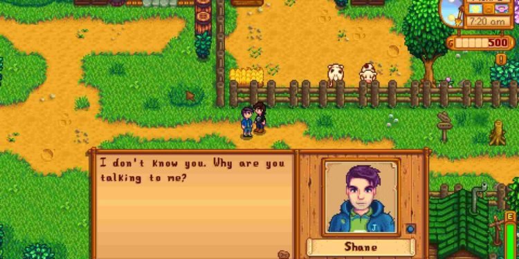 What does shane like in stardew valley
