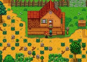 How to get cloth in Stardew Valley?