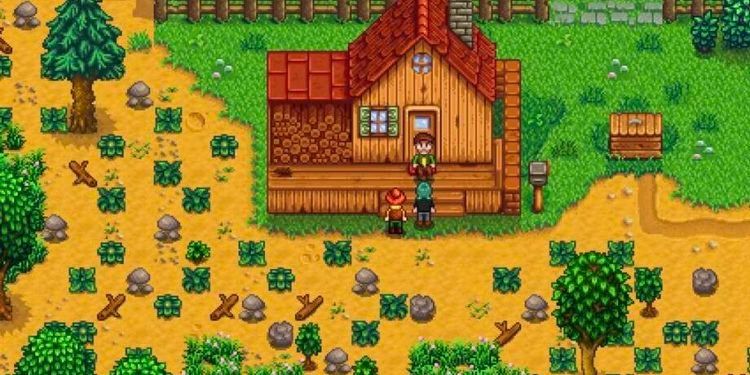 How to get cloth in Stardew Valley?