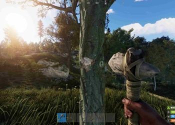 Rust crashes when switching servers