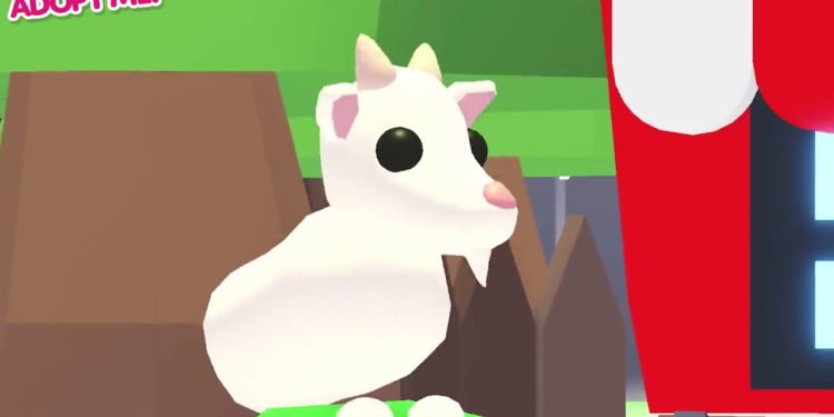 What does abc mean in Adopt Me