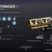 Destiny 2 How to get Austringer