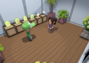 Dinkum: How to take photos