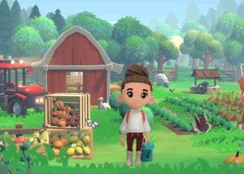 Hokko Life multiplayer support: is it available?