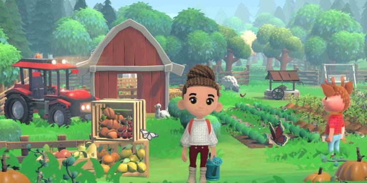 Hokko Life multiplayer support: is it available?