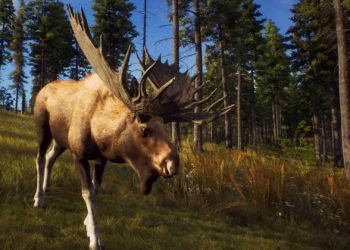 how-to-respawn-your-car-in-way-of-the-hunter