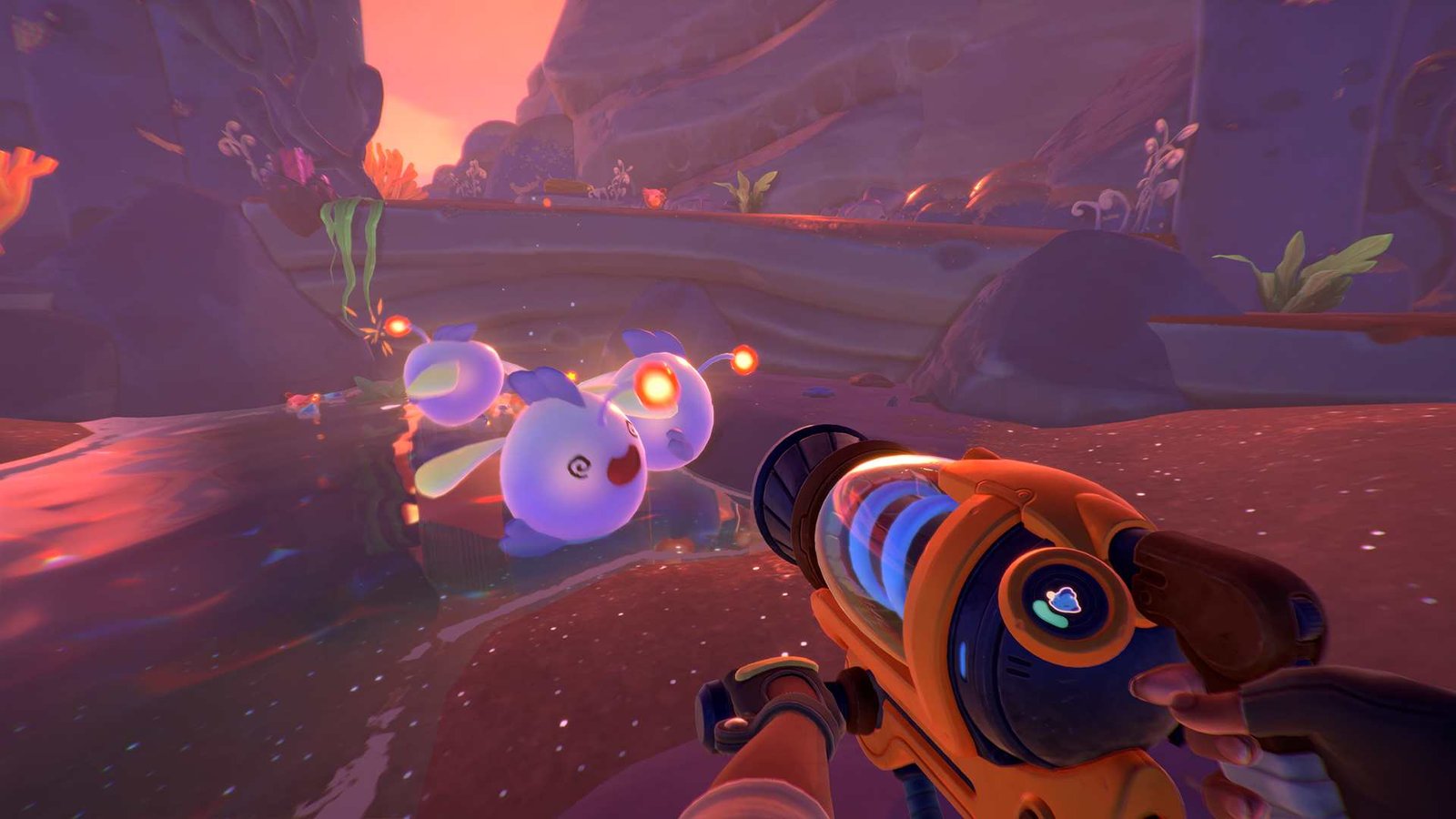 Slime Rancher 2: How to get Honey Slimes