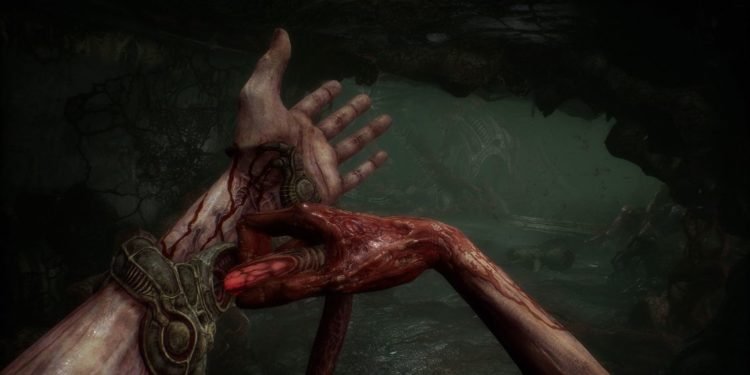 Does Scorn support Multiplayer