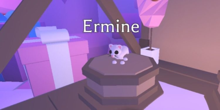 Adopt Me Ice Ermine Pet Rarity & Worth