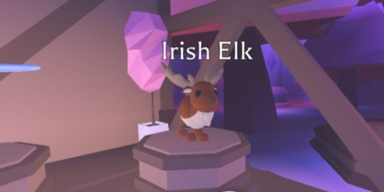 Adopt Me Irish Elk Pet Rarity & Worth