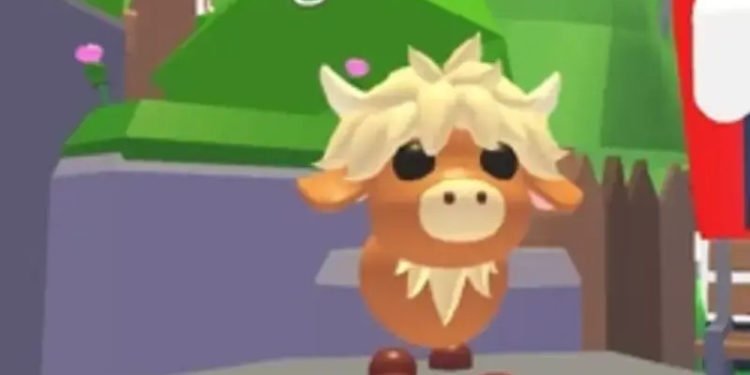 Adopt Me Highland Cow Pet Name Ideas List