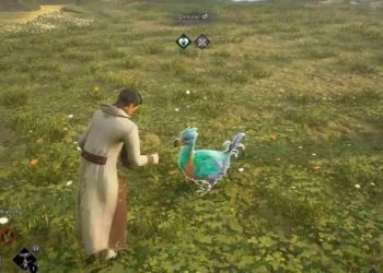 Hogwarts Legacy How To TameCatch Magical Beasts & Pets