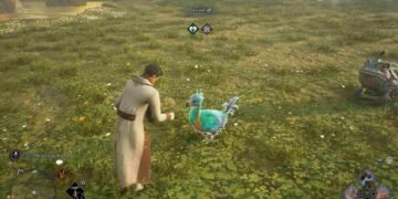 Hogwarts Legacy How To TameCatch Magical Beasts & Pets