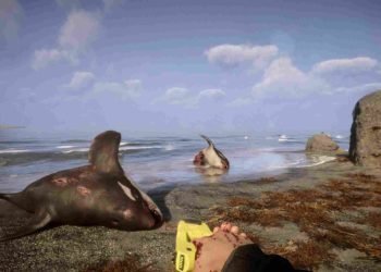 Sons of the Forest How to change FOV