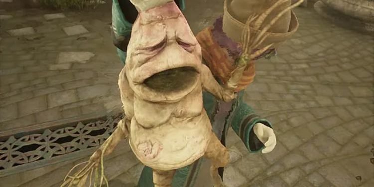 hogwarts-legacy-how-to-get-mandrake