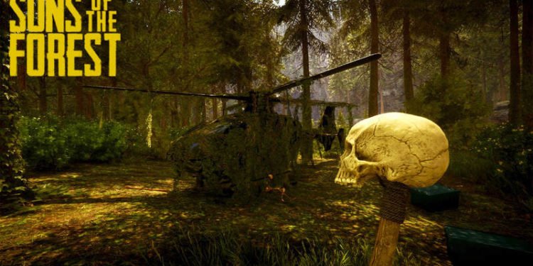 Sons of the Forest Splash Noise Issue