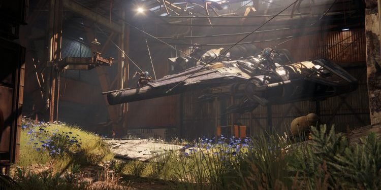 destiny-2-error-code-broccoli-how-to-fix-it