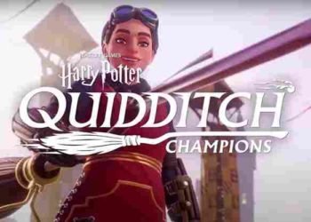Can you play Harry Potter Quidditch Champions Offline without an Internet Connection
