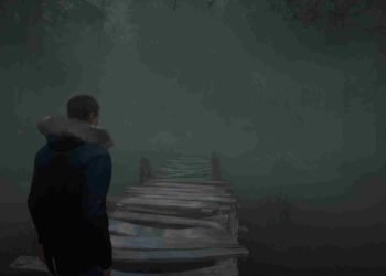 Stray Souls Native Linux Support might not be coming so soon, says developer