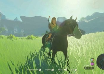 Zelda: Tears of the Kingdom (ToTK) Sundelion: How To Get & Find