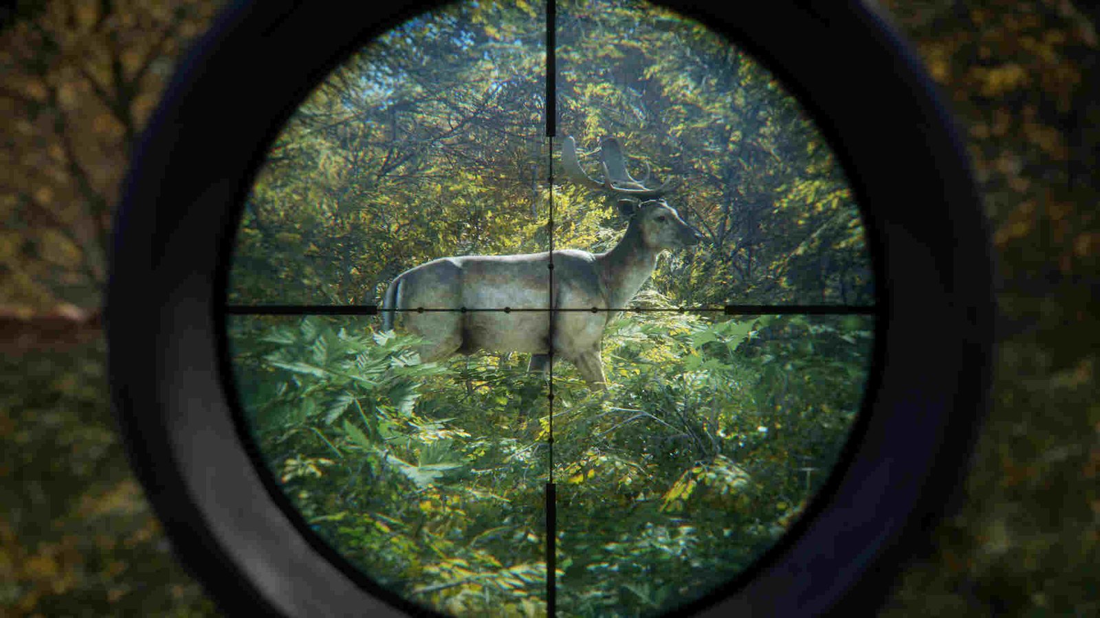 What does Hunting Pressure mean in The Hunter: Call Of The Wild?