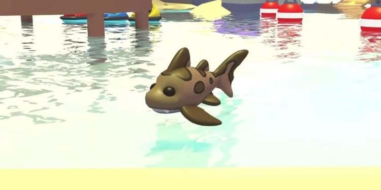Adopt Me Leopard Shark Pet Rarity & Worth - DigiStatement