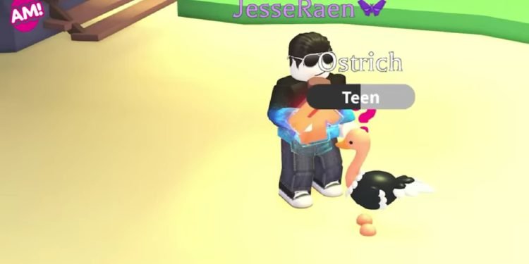 Adopt Me Ostrich Pet Rarity & Worth