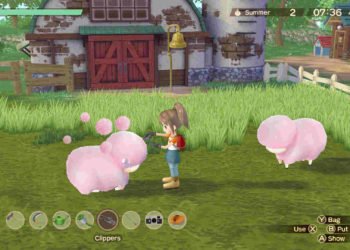 Story of Seasons A Wonderful Life: How to get & find Ducks