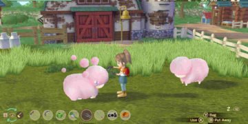 Story of Seasons A Wonderful Life: How to get & find Ducks