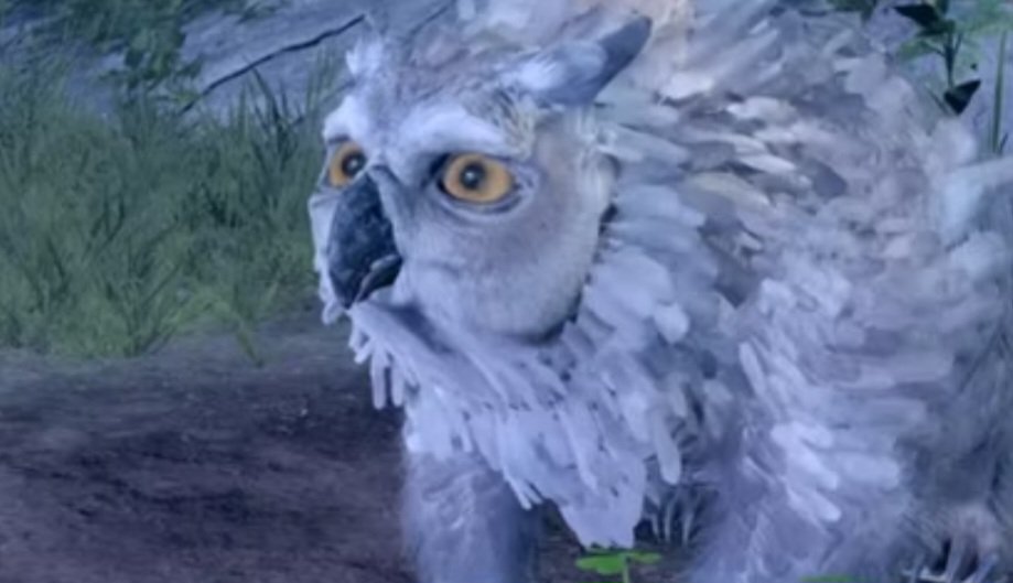 Baldur’s Gate 3 owlbear cub not showing up in camp