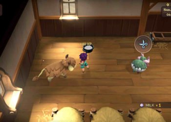 Fae Farm: How to change/Alter in-game Name?