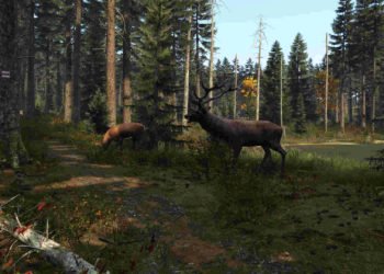 DayZ Bios Error Code 0x00050017 & 0x00050009: Is there any fix yet