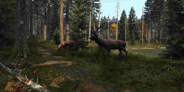 DayZ Bios Error Code 0x00050017 & 0x00050009: Is there any fix yet