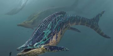 Ark Survival Ascended Shastasaurus Spawn Command