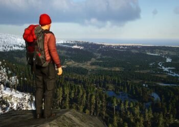 Best SCUM single player settings