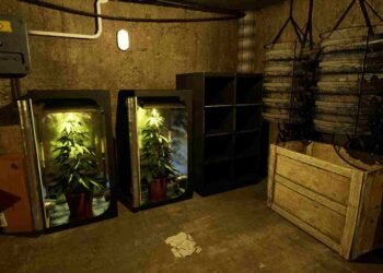 Drug Dealer Simulator 2 How to GetLevel Up Reputation Fast (2)