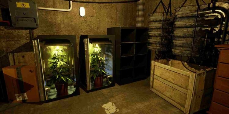 Drug Dealer Simulator 2 How to GetLevel Up Reputation Fast (2)